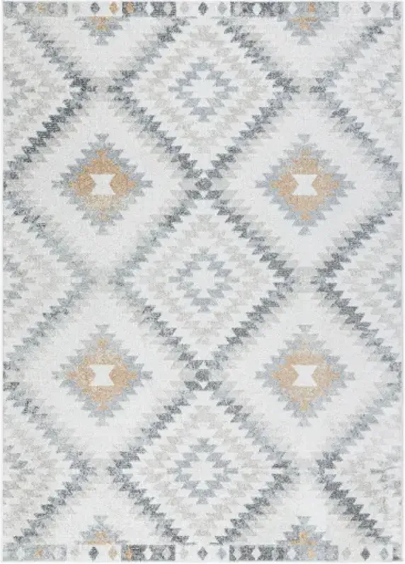 Harput HAP-1166 8'10" x 12'6" Machine Woven Rug