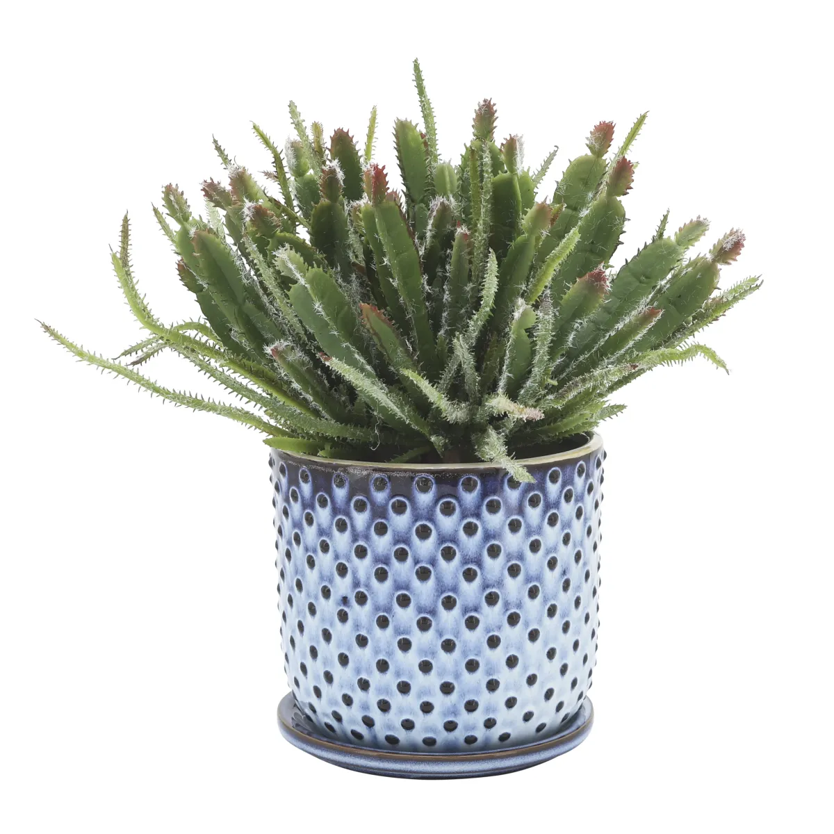 Ceramic 6" Dotted Planter W/ SauCeramic, Blue