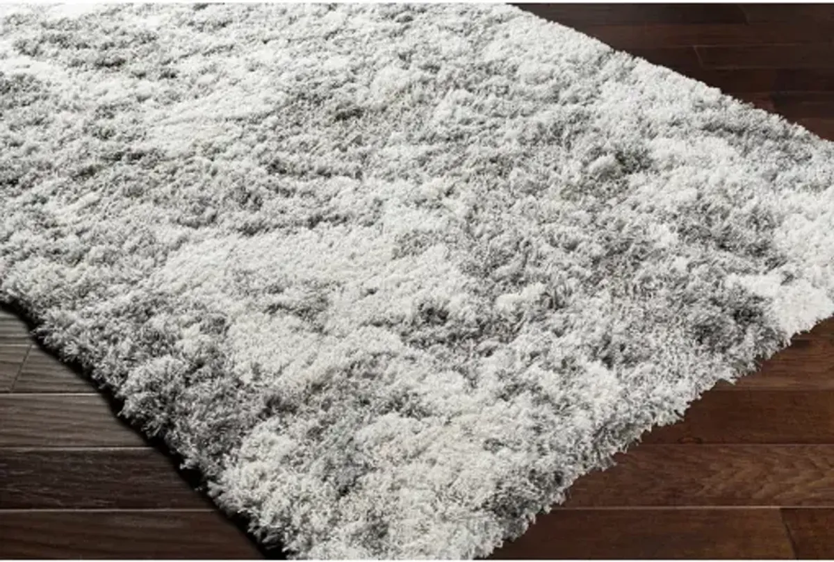 Alta shag 5'3" x 7' Rug