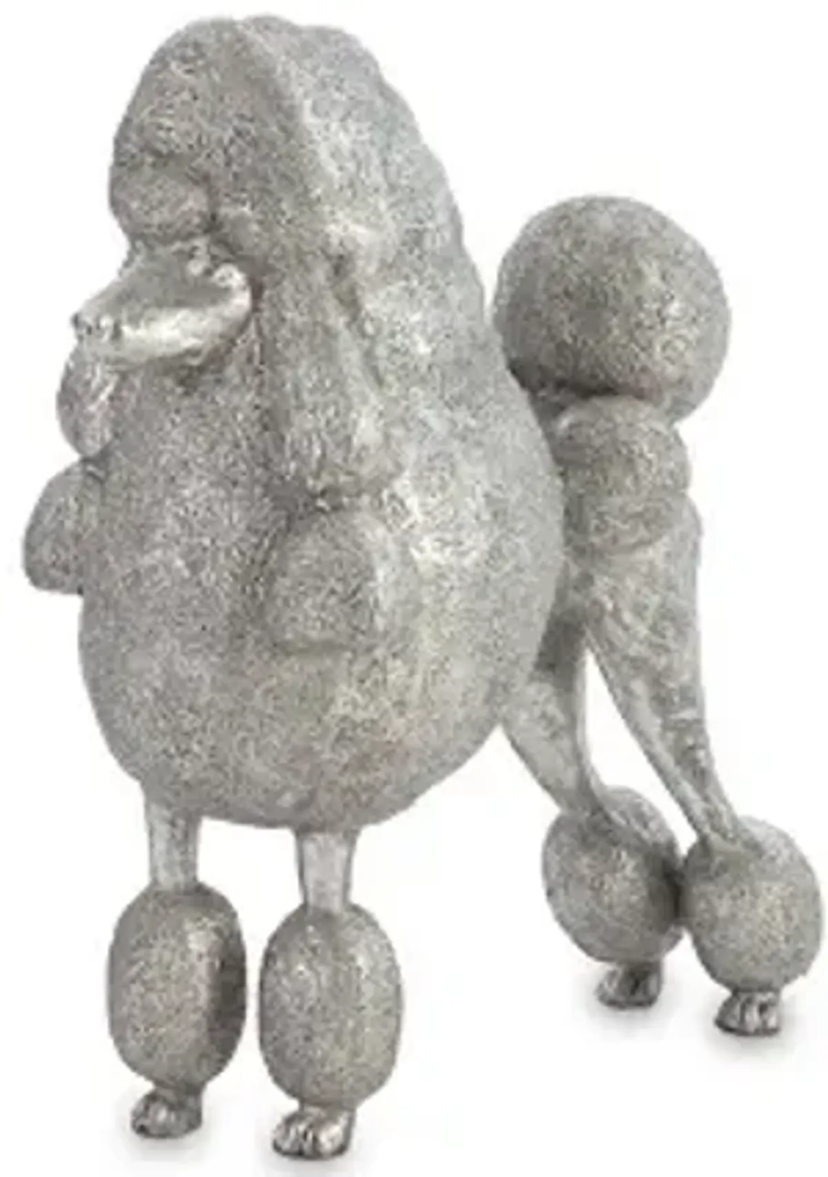 poodle, silver leaf