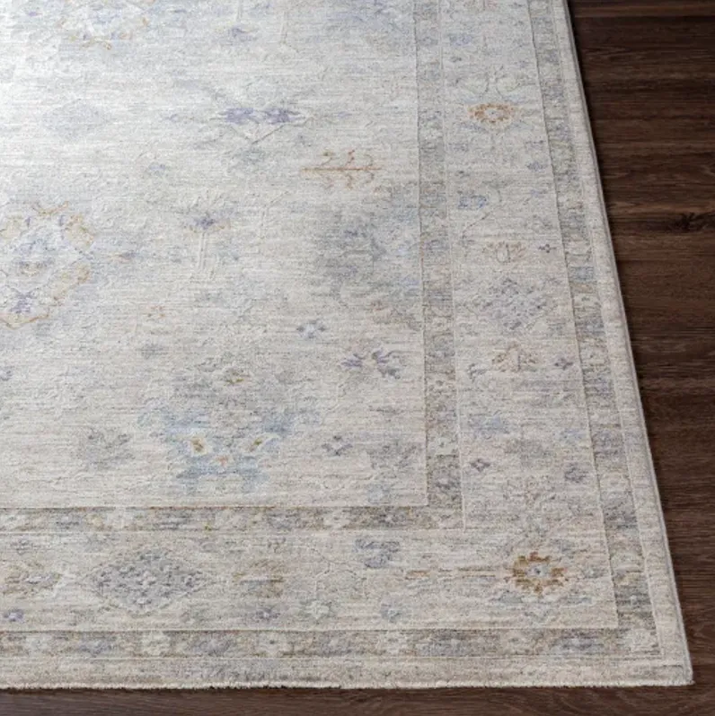 Virginia VGN-2300 2'2" x 7'7" Rug