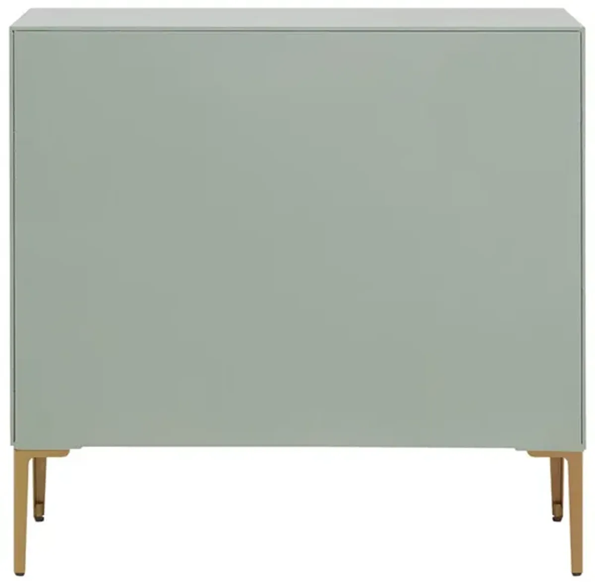 Madison Park Curry Mint 2 Door Accent Cabinet