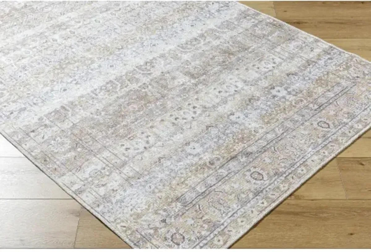 Amelie AML-2400 8'10" x 12' Machine Woven Rug