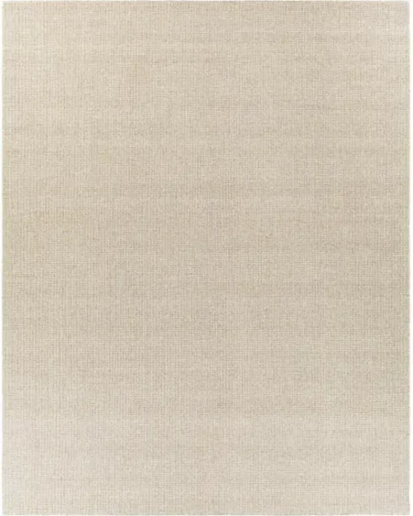 Aiden AEN-1000 2'6" x 8' Rug