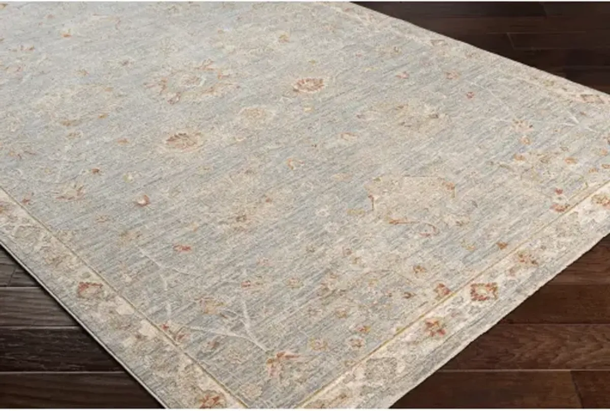 Avant Garde AVT-2322 2'7" x 7'3" Rug