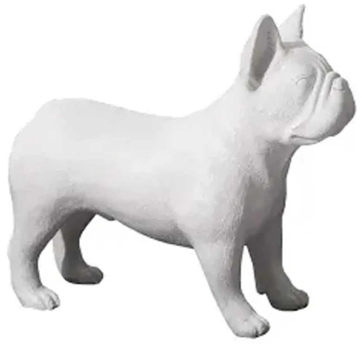 french bulldog, gel coat white