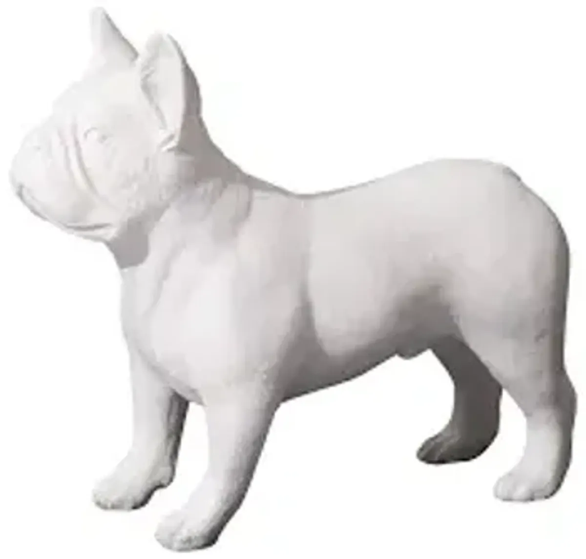 french bulldog, gel coat white