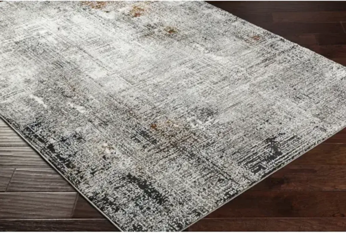 Allegro Plus AGP-2305 4'3" x 6'1" Machine Woven Rug