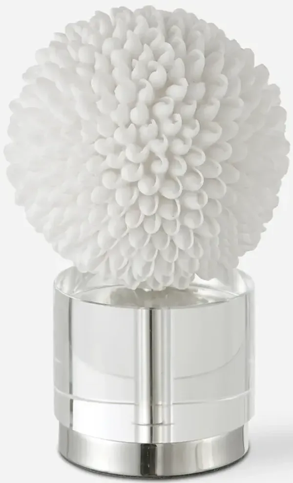 Cascara White Sculpture