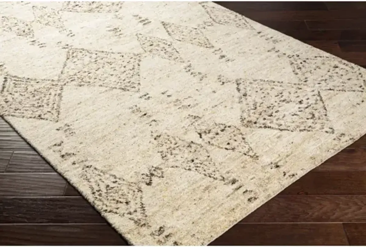 Pampa 8' x 10' Rug