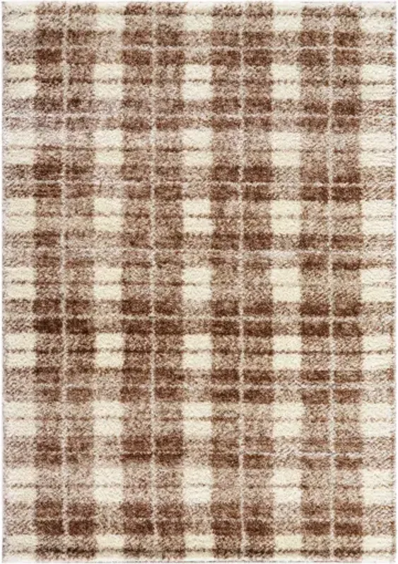 Primo PRO-2318 7'10" x 10' Machine Woven Rug