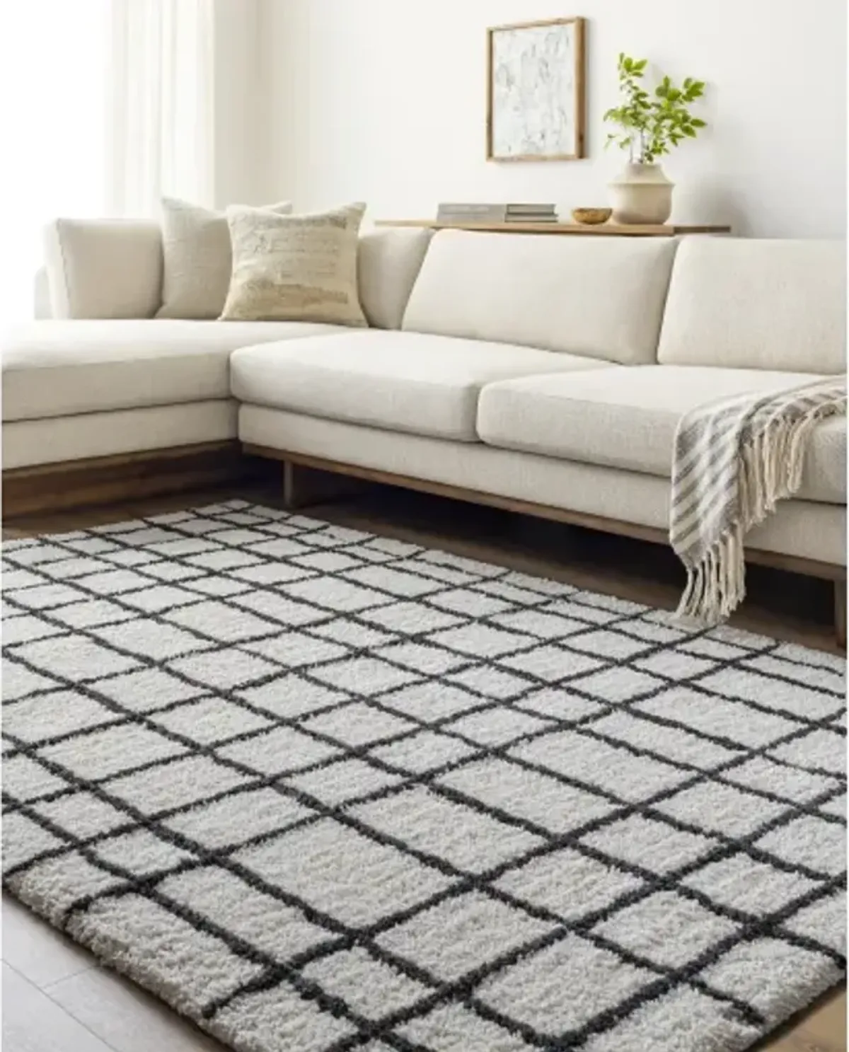 Nicole NCO-2300 8' x 10' Hand Made Rug