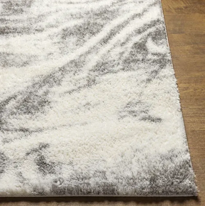 Cloudy Shag CDG-2308 6'7" x 9' Machine Woven Rug