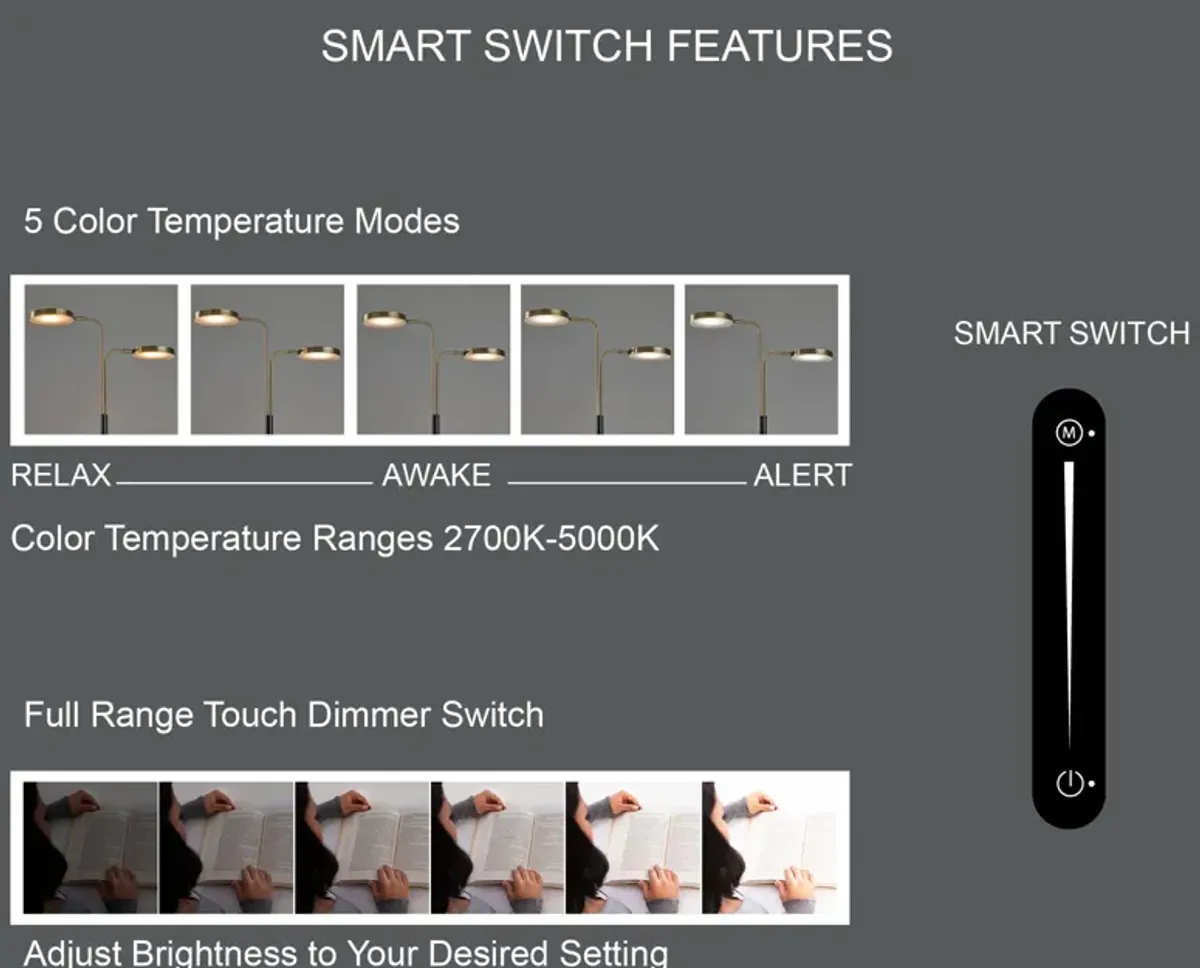 Rowan LED Desk Lamp with Smart Switch