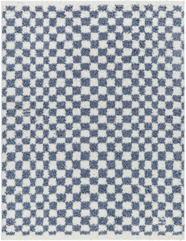 Birmingham BMM-2320 5'3" x 7' Machine Woven Rug