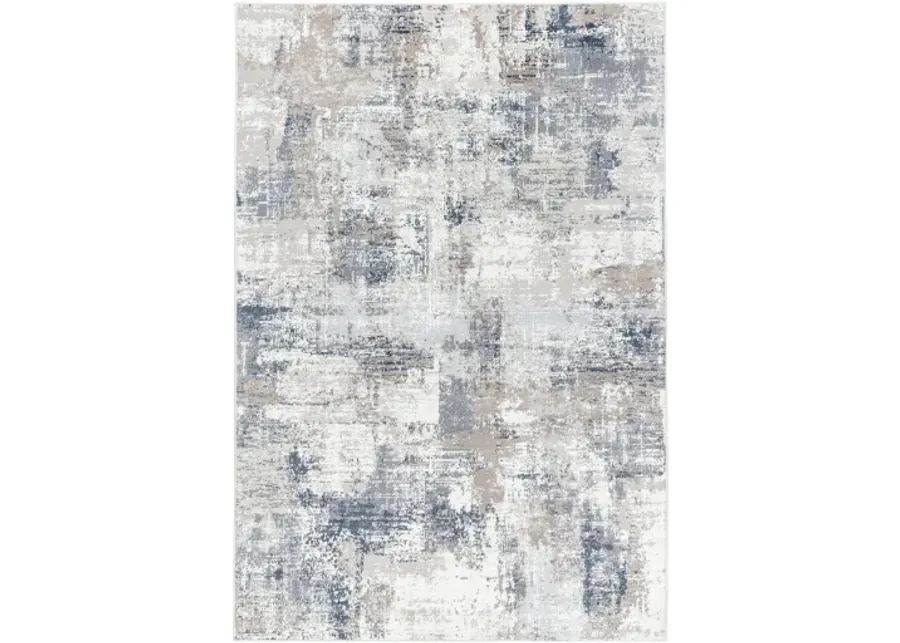 Nesta NST-2303 5'3" x 7' Machine Woven Rug