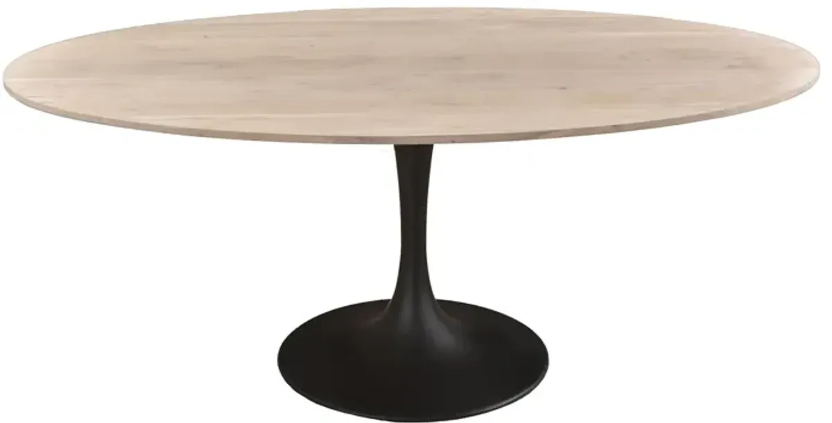 Aspen Oval Dining Table with Metal Base - White Wash