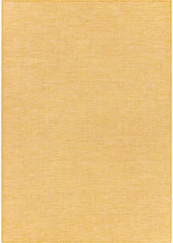 Pasadena 2'6" x 4' Rug