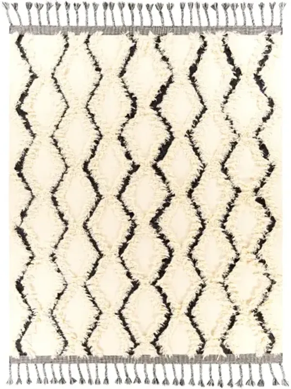 Apache 8' x 10' Rug