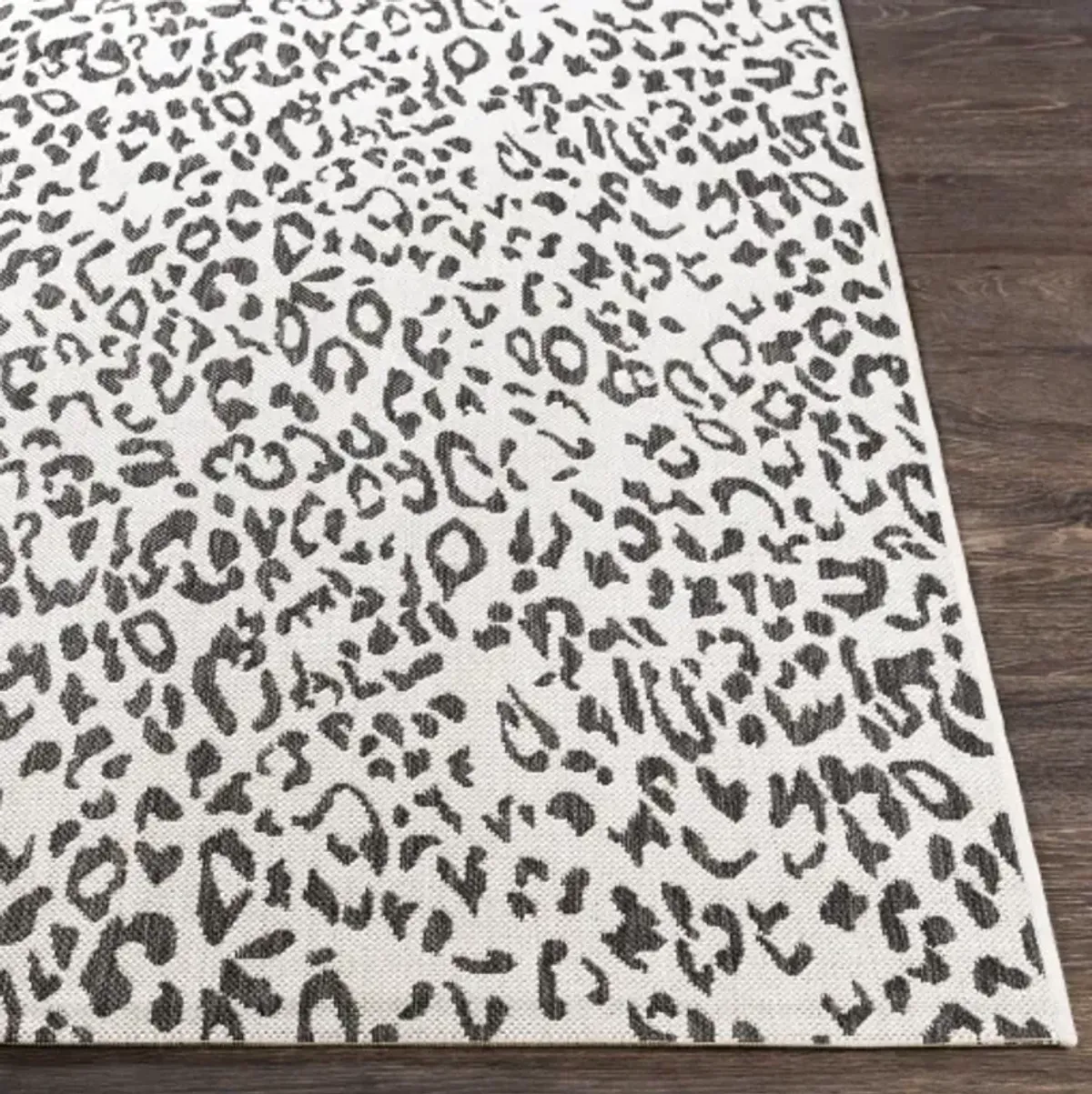 Eagean 5'3" x 7'7" Rug