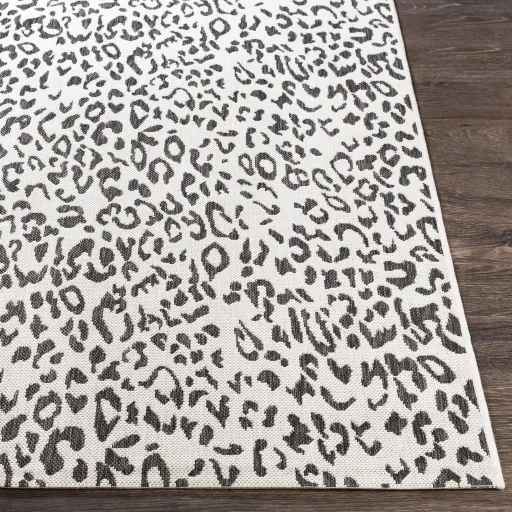 Eagean 5'3" x 7'7" Rug