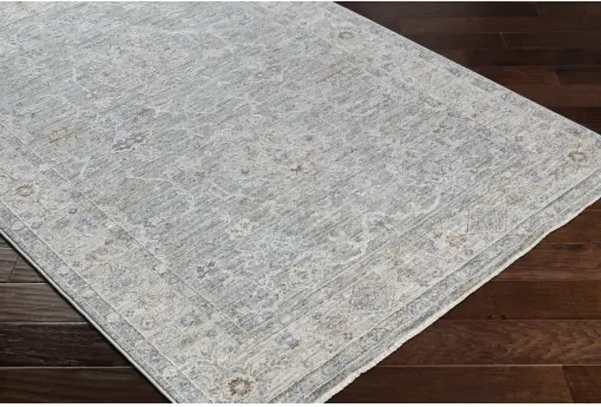 Virginia VGN-2303 2'2" x 7'7" Rug