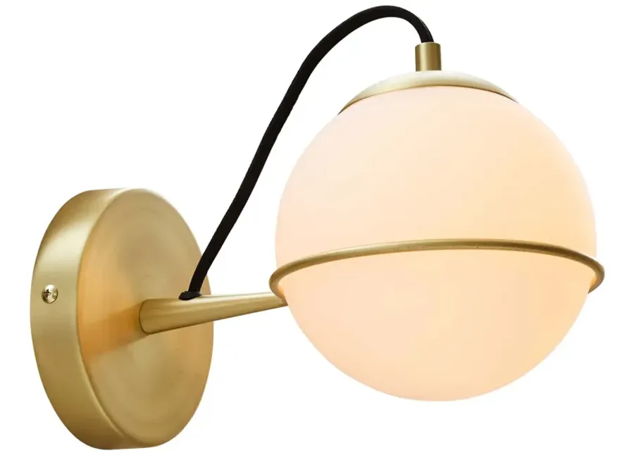 Hanna Hardwire Wall Sconce