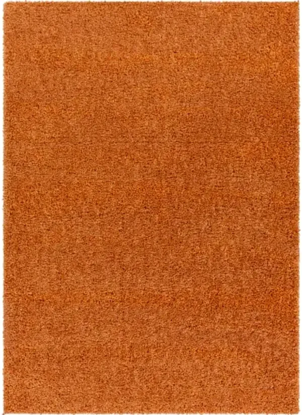 Deluxe Shag 7'10" x 10'3" Rug