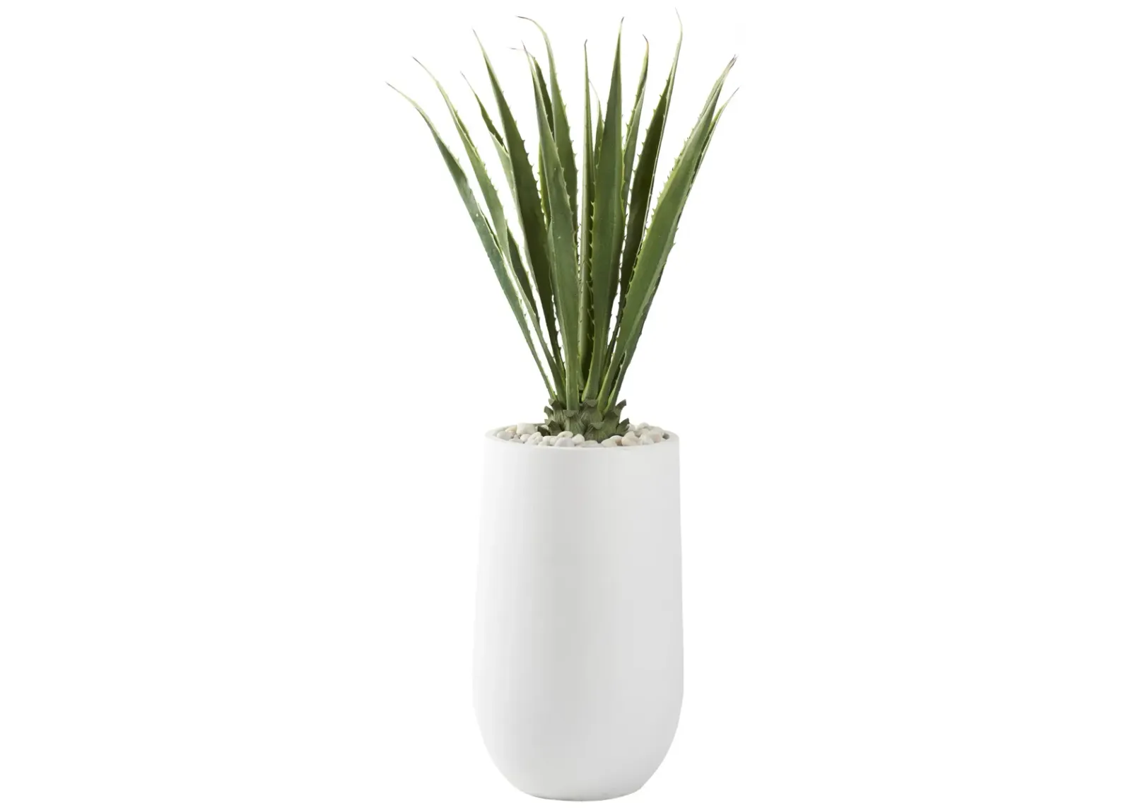 5.5' Agave Plant in Large Round White Planter