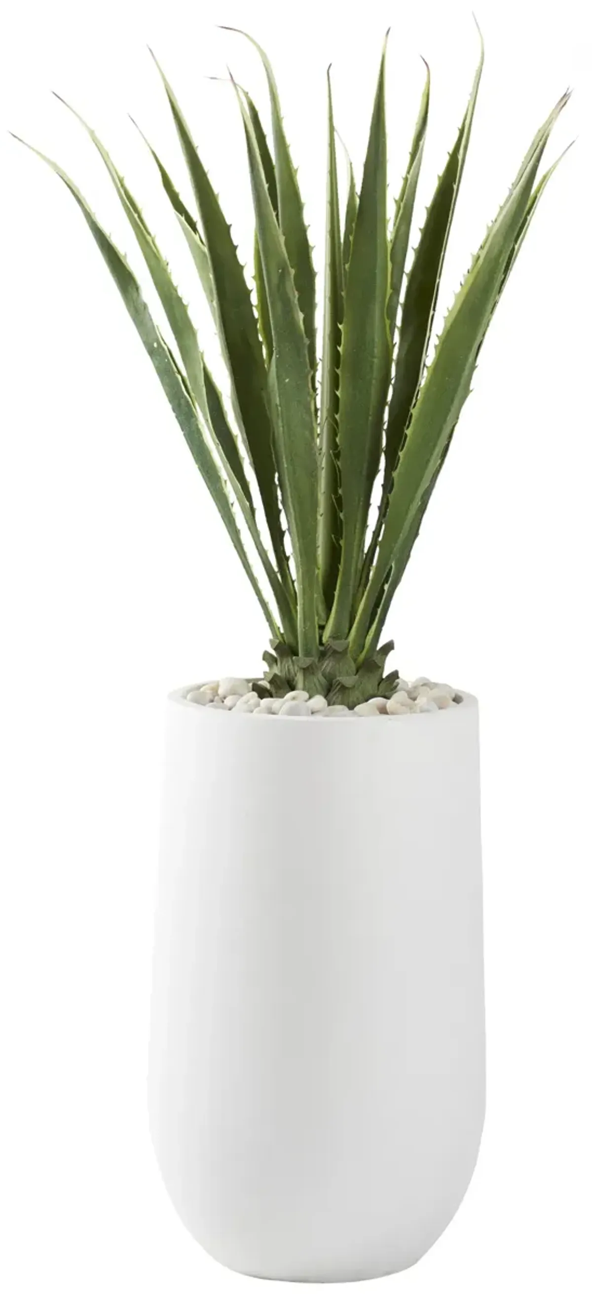 5.5' Agave Plant in Large Round White Planter