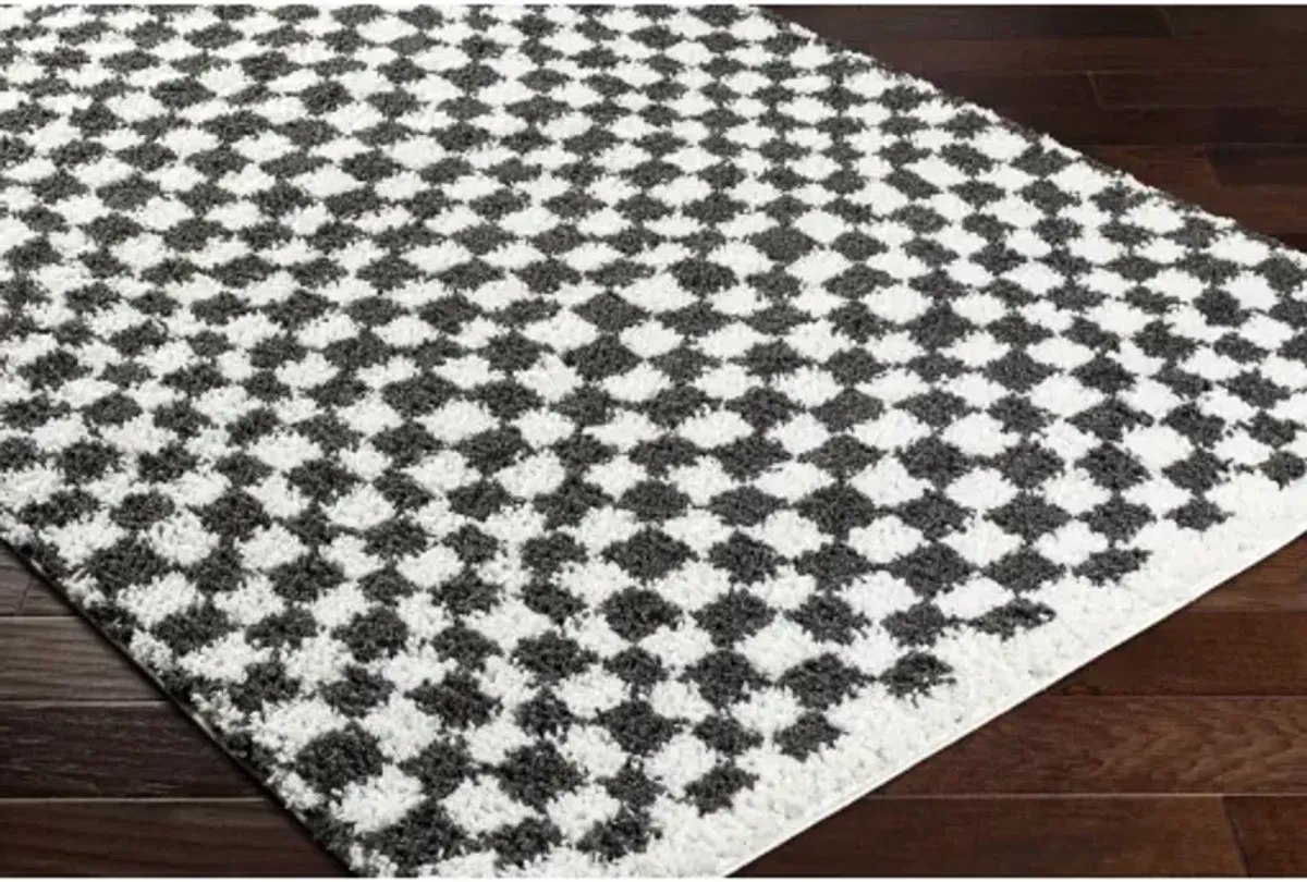 Birmingham BMM-2319 7'10" x 10' Machine Woven Rug