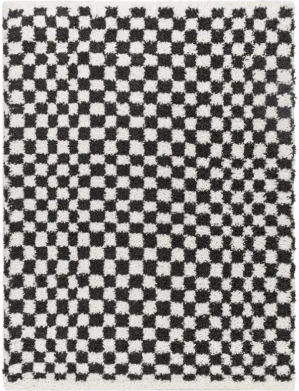 Birmingham BMM-2319 7'10" x 10' Machine Woven Rug