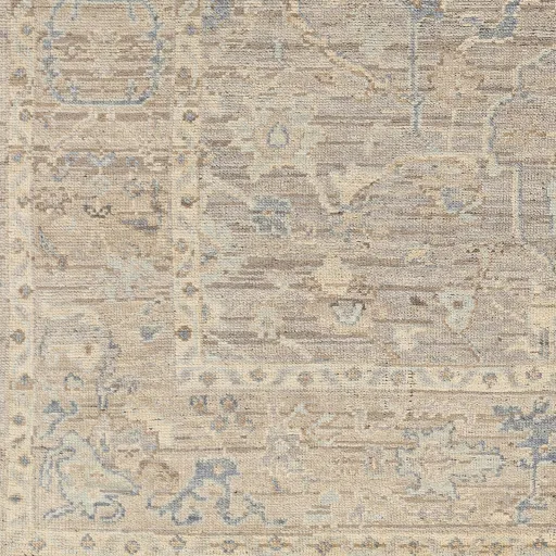 Reign REG-2322 2' x 3' Handmade Rug