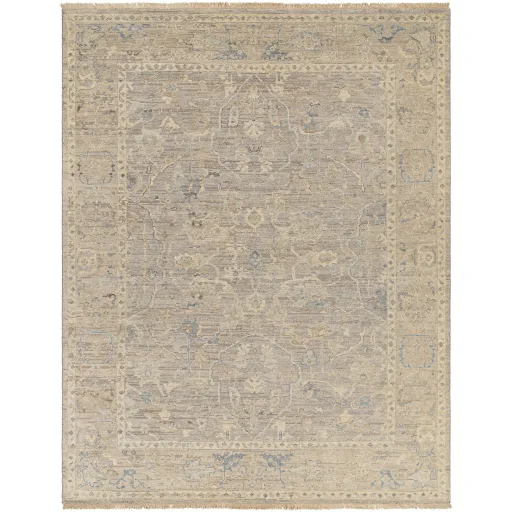 Reign REG-2322 2' x 3' Handmade Rug