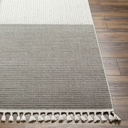 Finland FND-2307 2'2" x 3'9" Machine Woven Rug