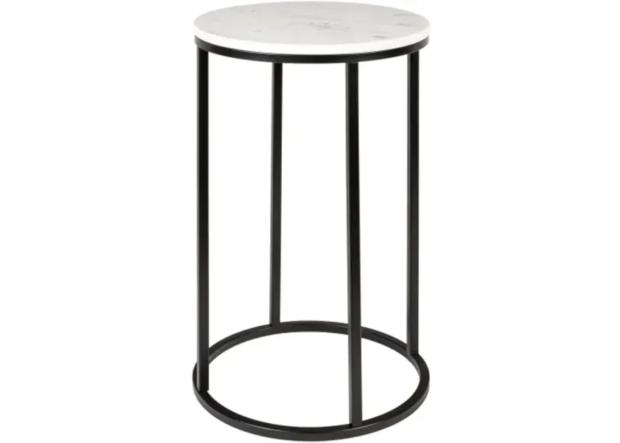 Aryaa YAA-013 24"H x 14"W x 14"D End Table