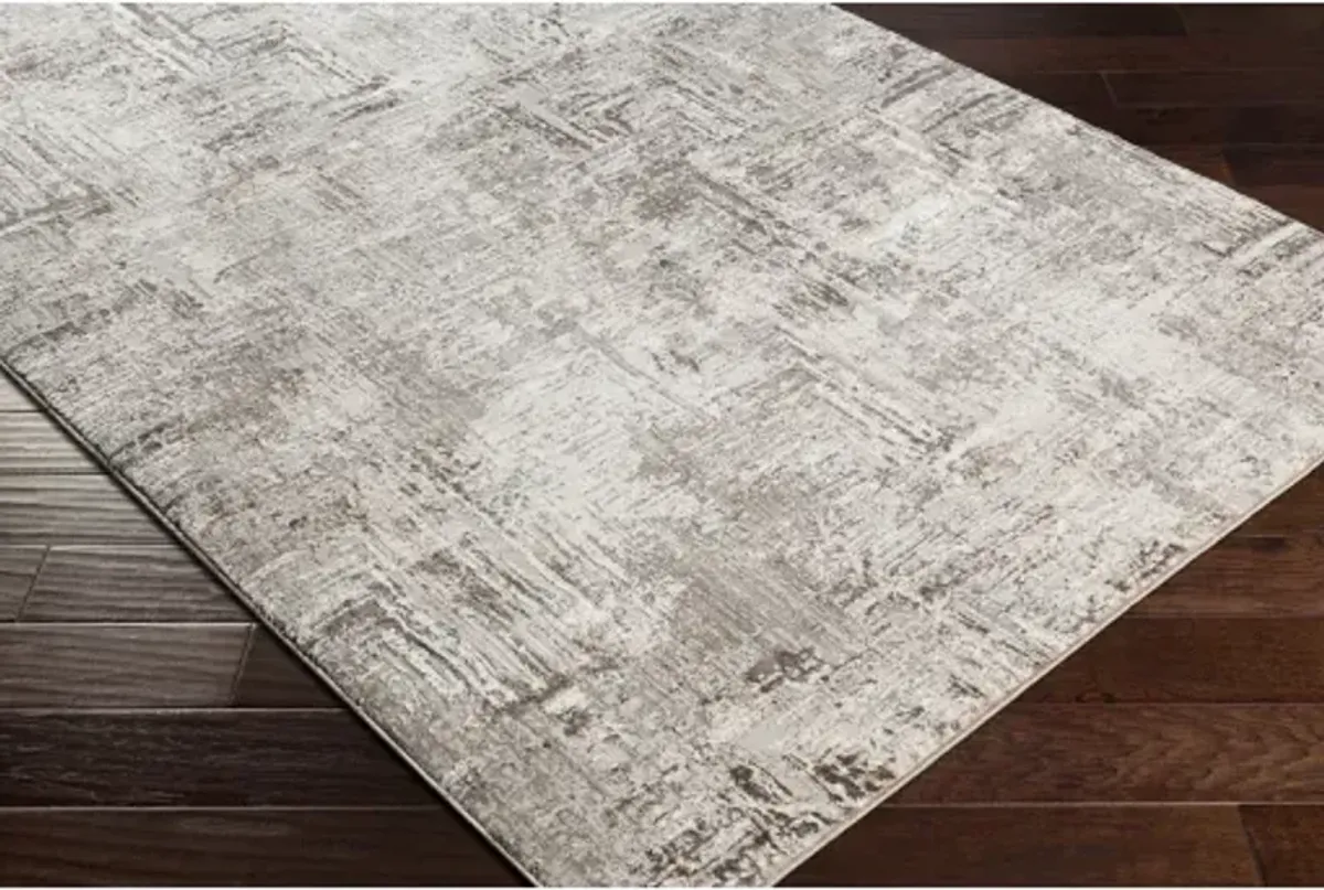 Allegro 5'3" x 7' Rug