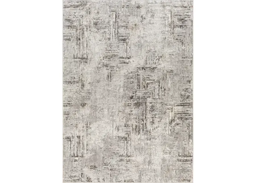 Allegro 5'3" x 7' Rug