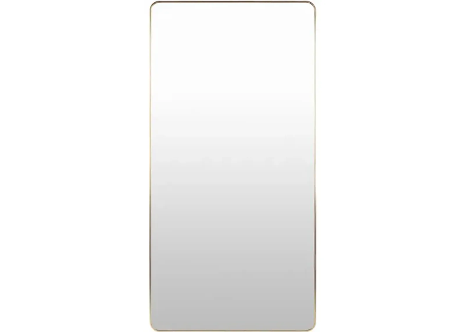 Aranya RAY-043 65"H x 22"W Mirror