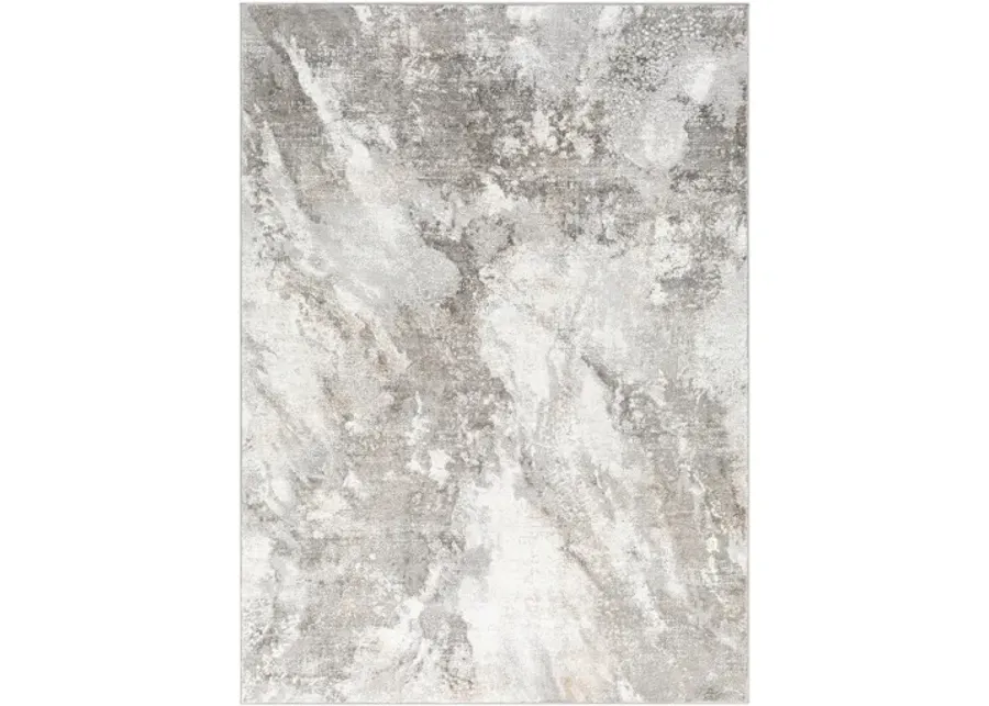 Allegro 7'10" x 10' Rug