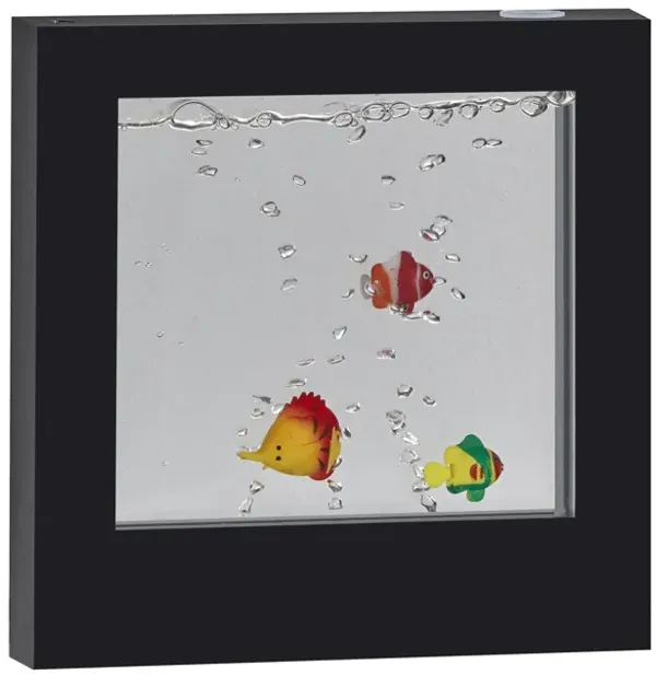Aquarium Light Box