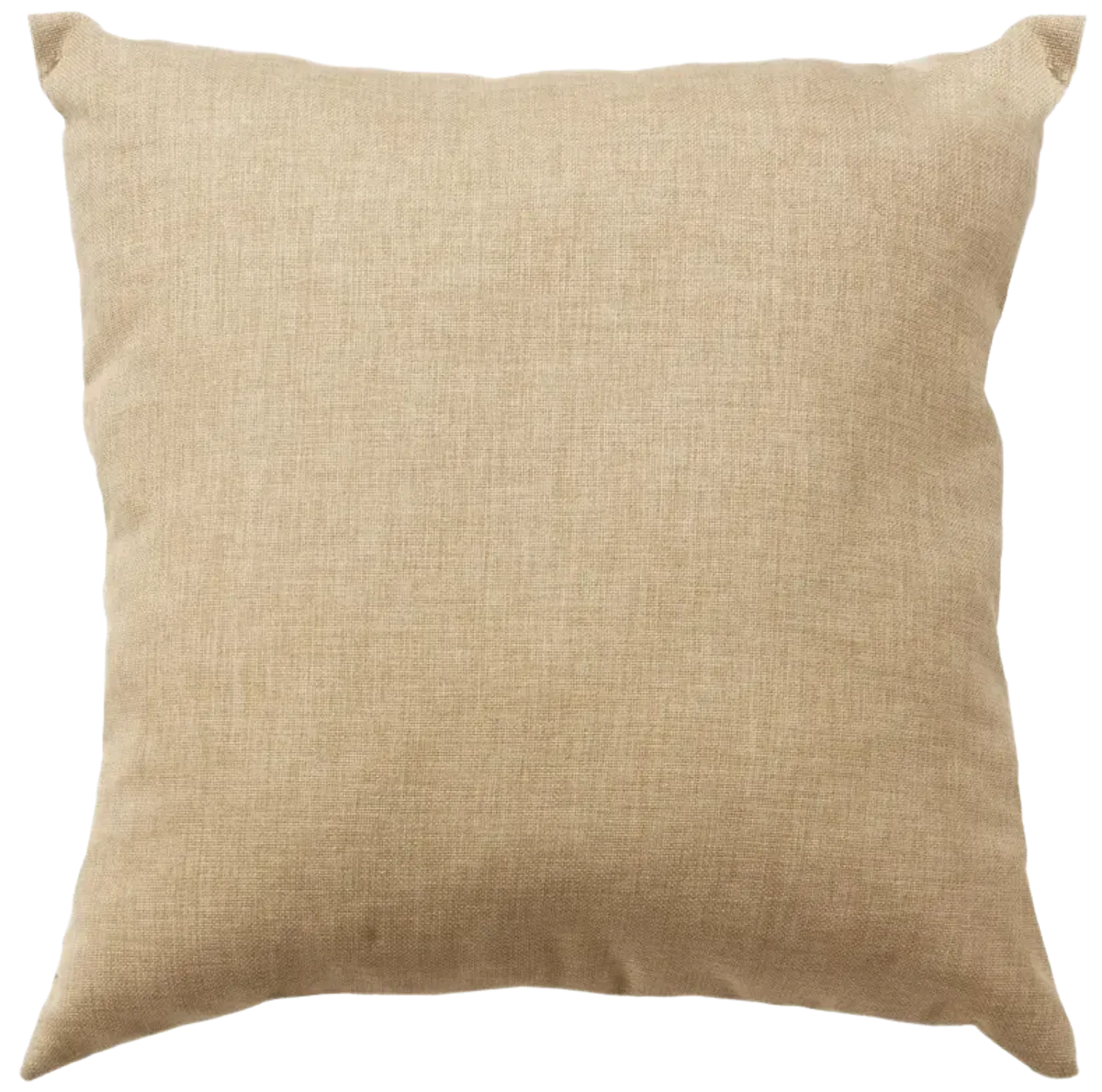 Indoor/Outdoor Solid Natural  Pillow