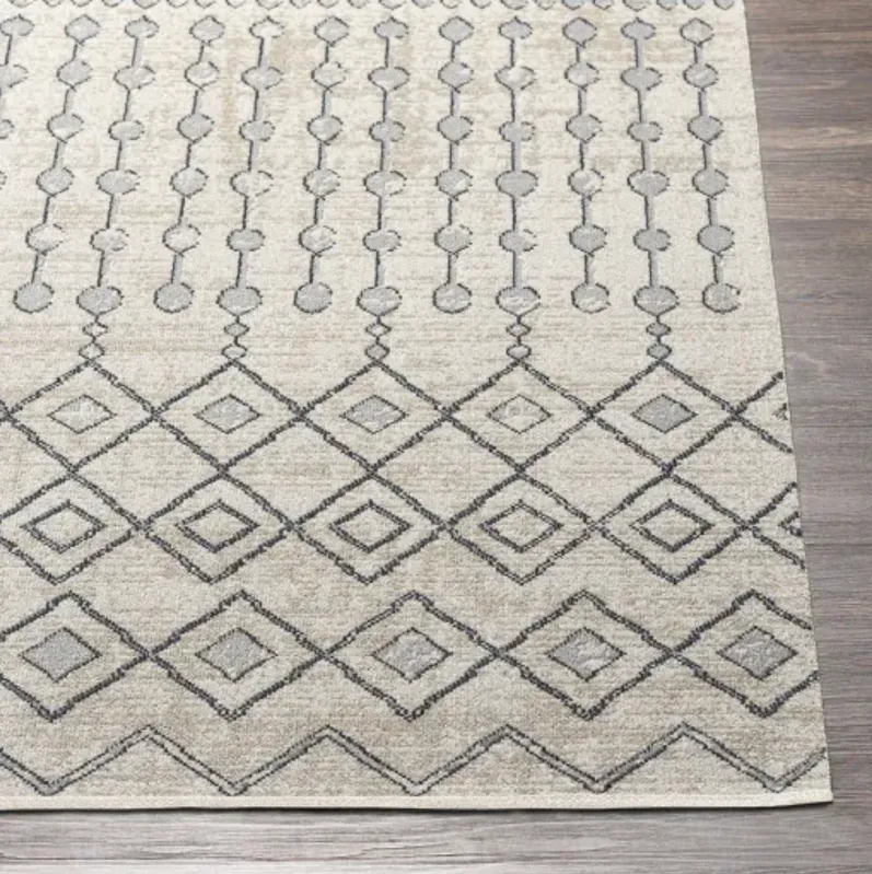 Lavadora 5'3" x 7' Rug