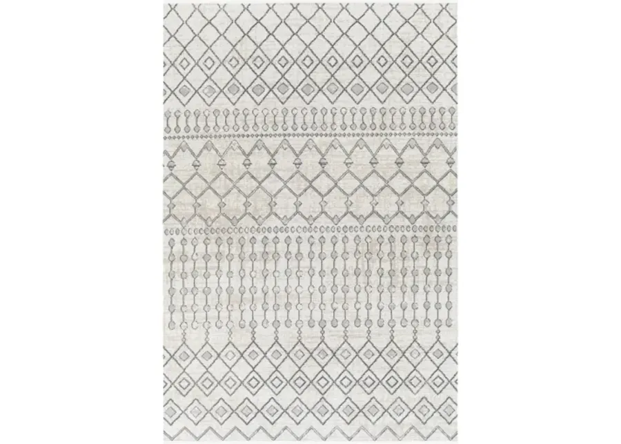 Lavadora 5'3" x 7' Rug