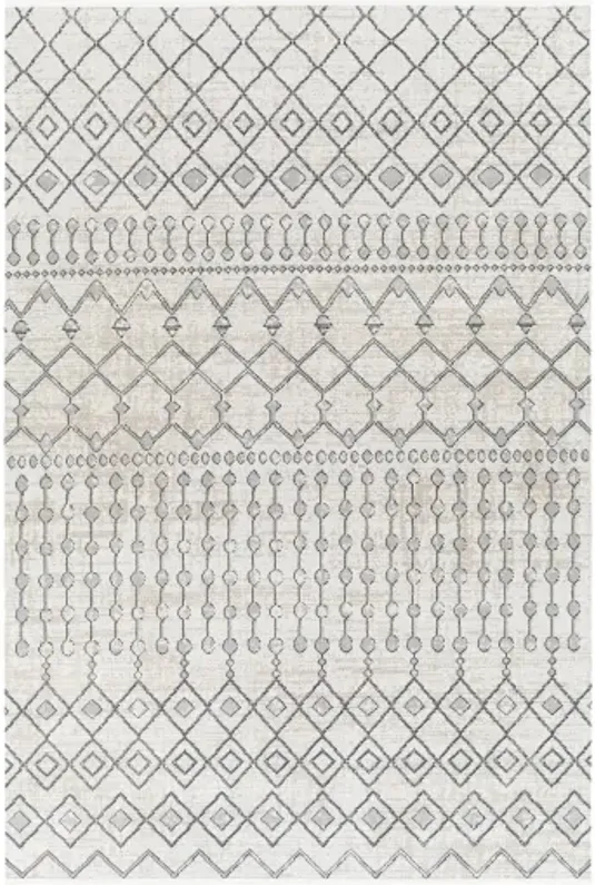 Lavadora 5'3" x 7' Rug