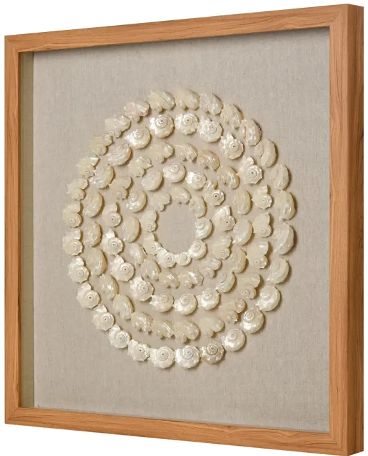 Concentric Shell Dimensional Wall Art