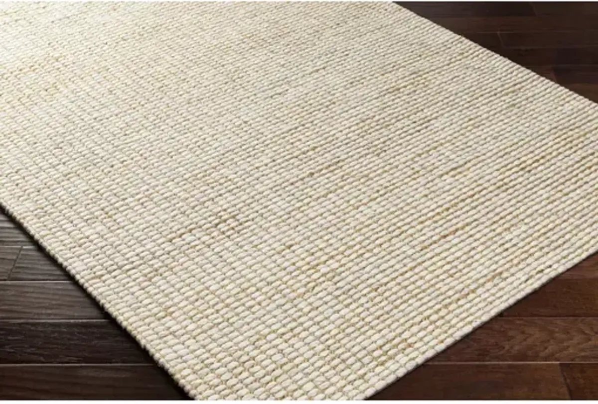 Priya PYA-2303 27" x 45" Hand Made Rug