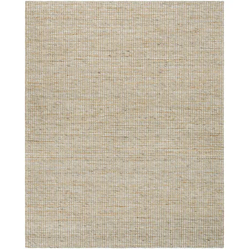 Priya PYA-2303 27" x 45" Hand Made Rug