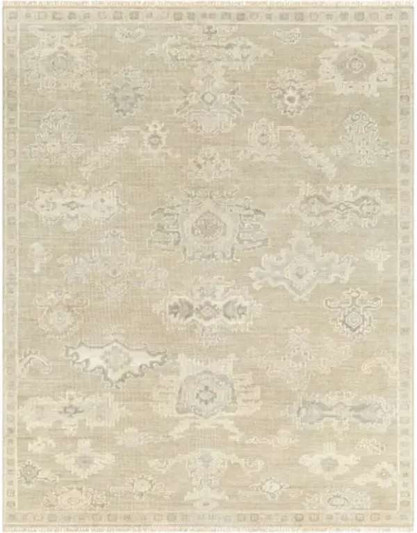 Antalya AAT-2305 2' x 3' Handmade Rug