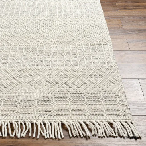 Casa DeCampo CDC-2306 27" x 45" Hand Made Rug